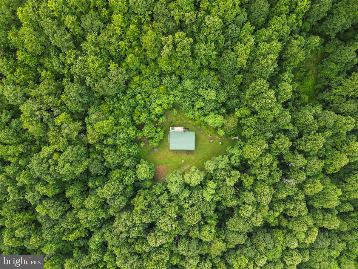 611 Timber Trl Property Photo 4