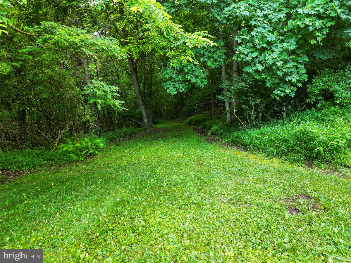 611 Timber Trl Property Photo 7
