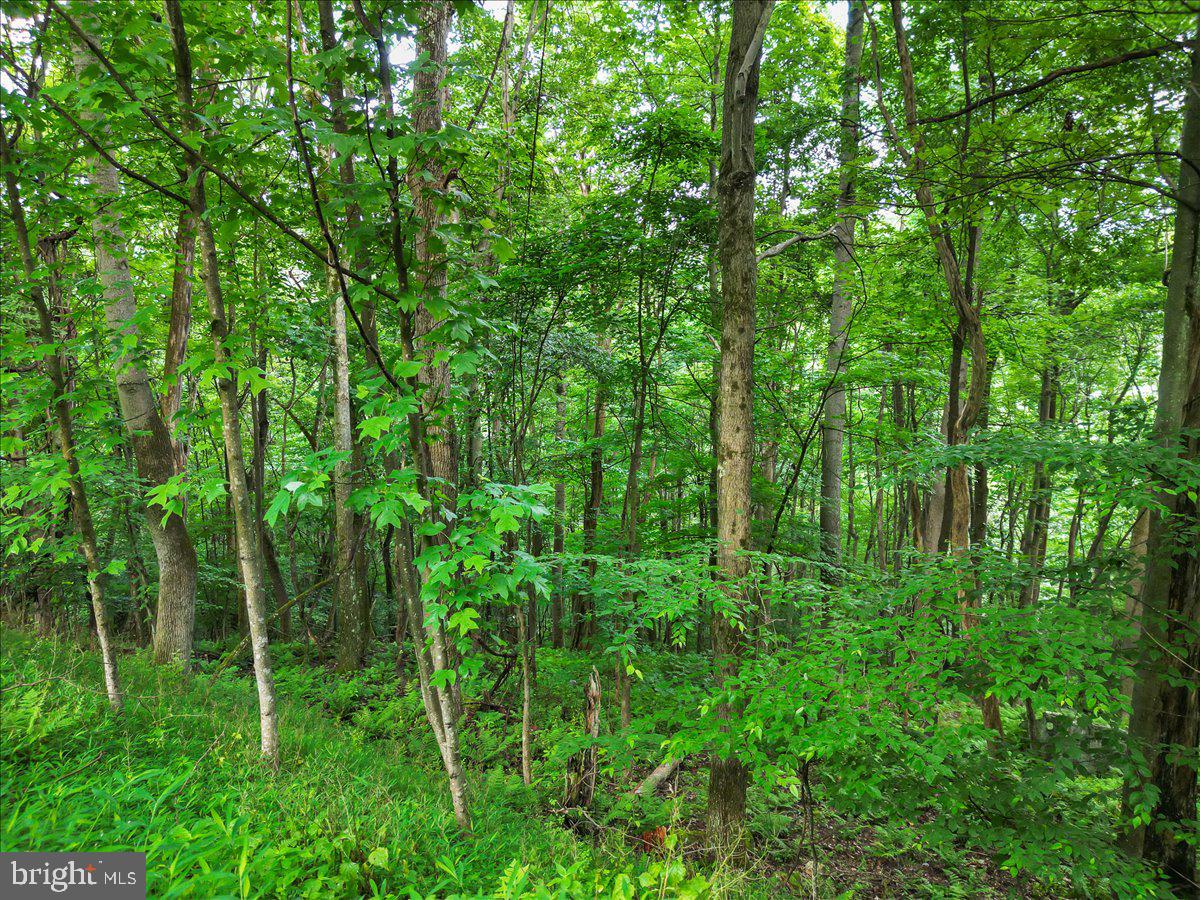 611 Timber Trl Property Photo 29