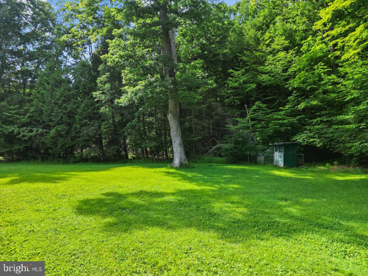 3623 Bear Creek Rd Property Photo 20