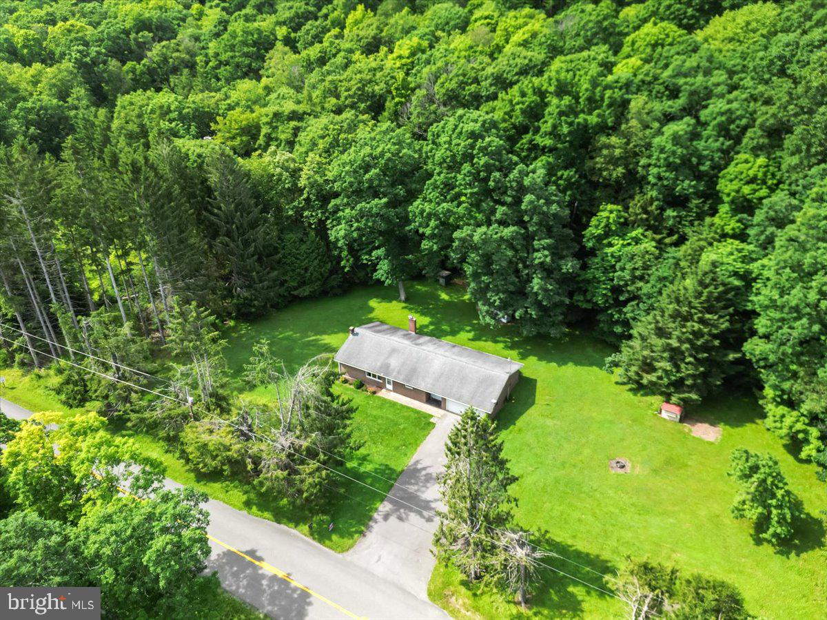 3623 Bear Creek Rd Property Photo 22