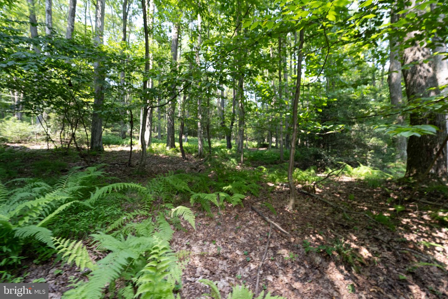 639 Hemlock Rd Property Photo 49