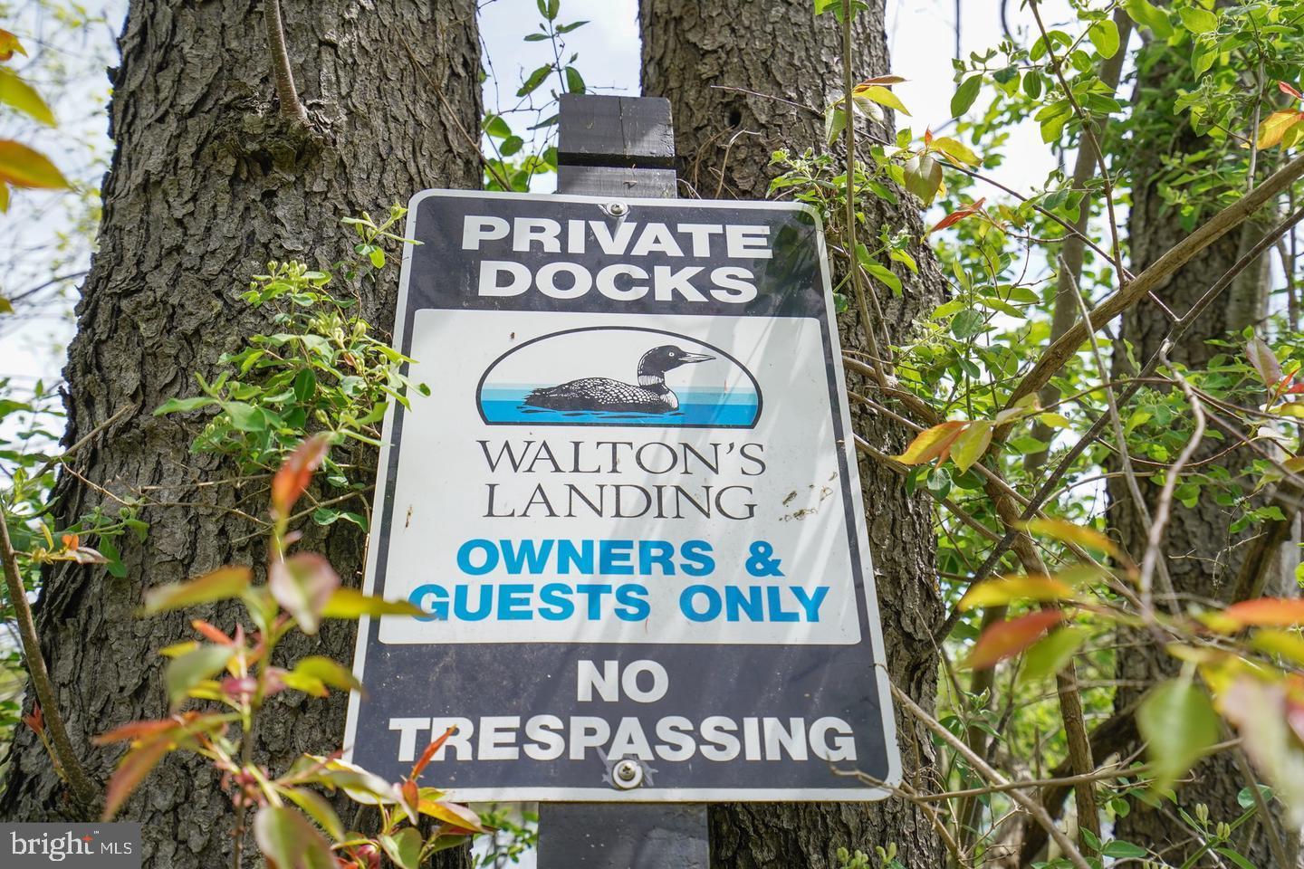 6 Walton Way Property Photo 69