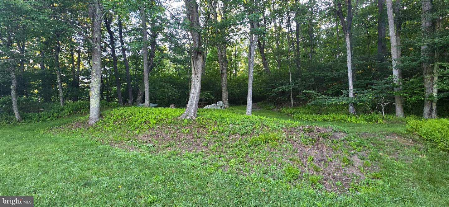 Robinwood Dr #13 Property Photo 12