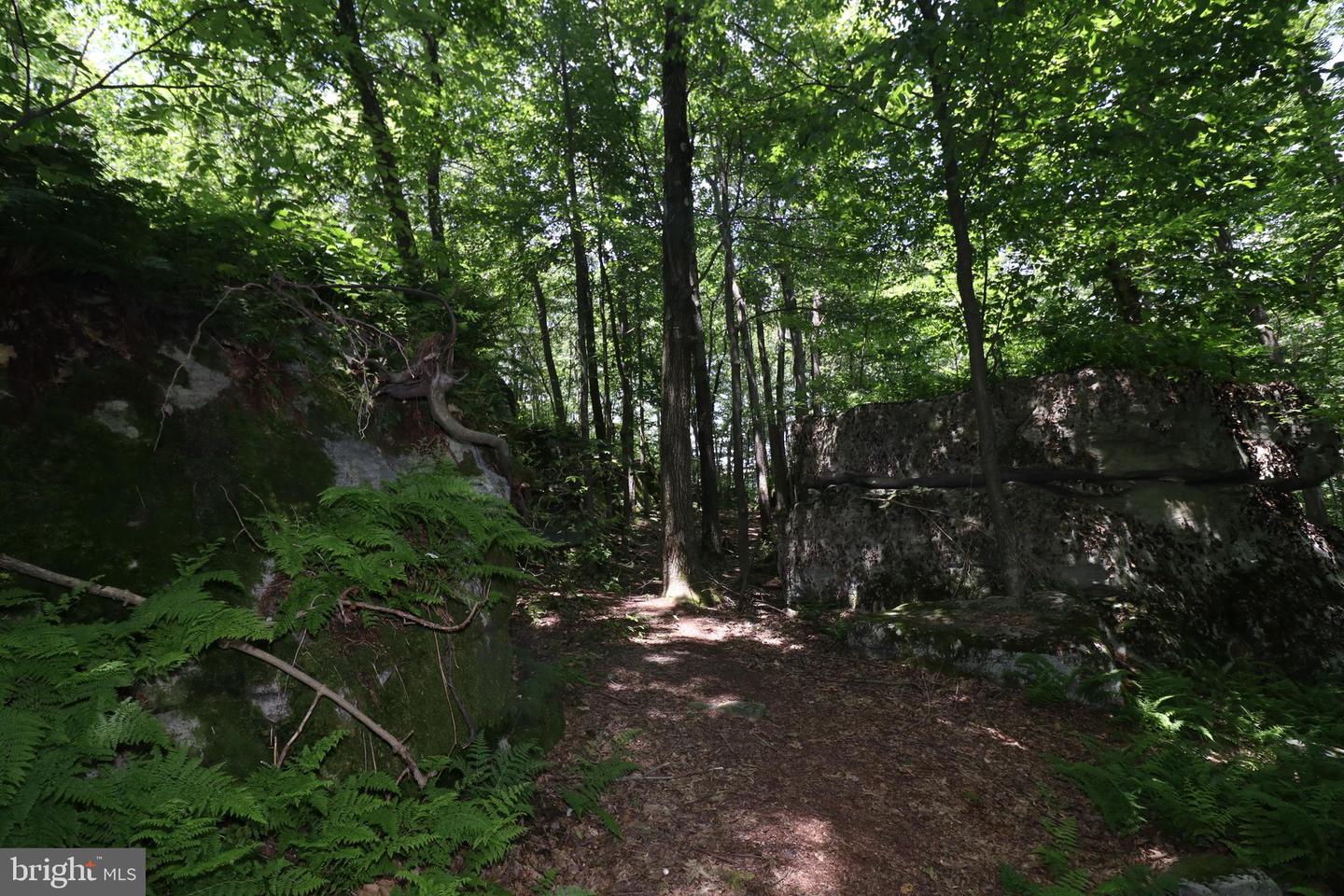 84 Mountaintop Rd Property Photo 21