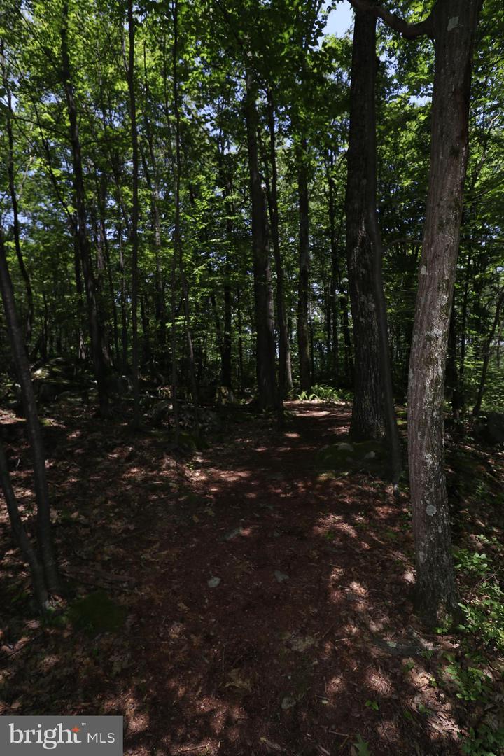 73 Westward Way Property Photo 30