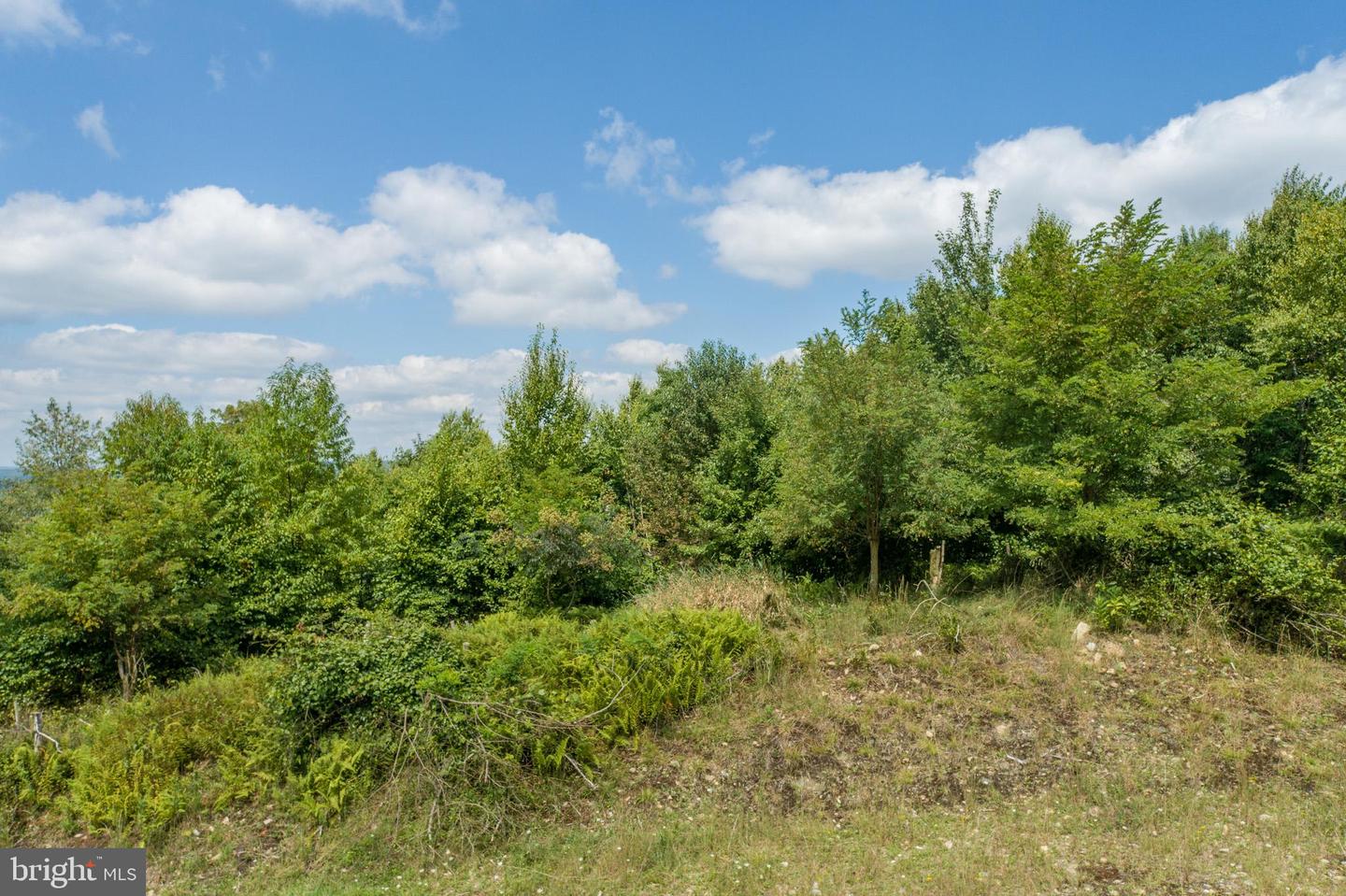 22 Woodlands Hill Ln Property Photo 4