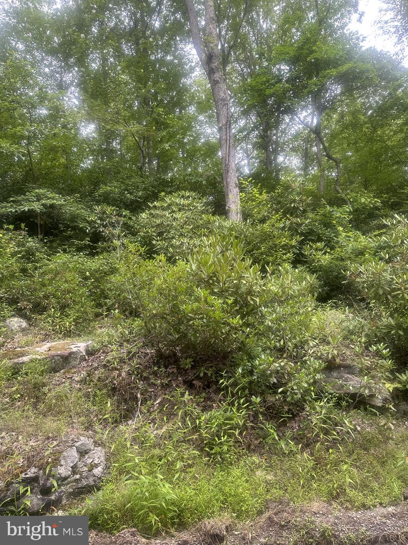 Bear Dr E Property Photo 2
