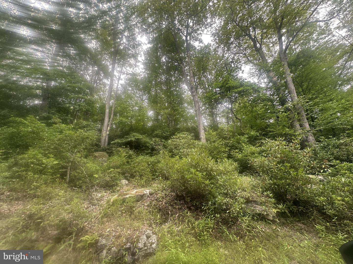 Bear Dr E Property Photo 3