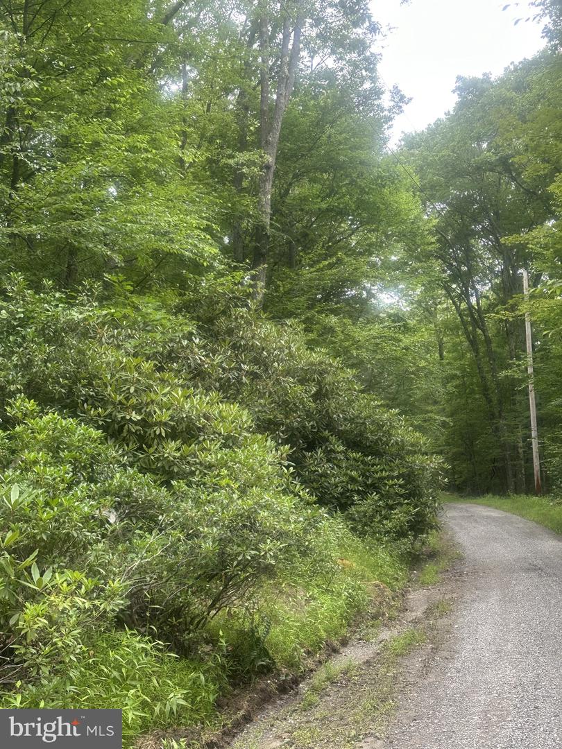 Bear Dr E Property Photo 4