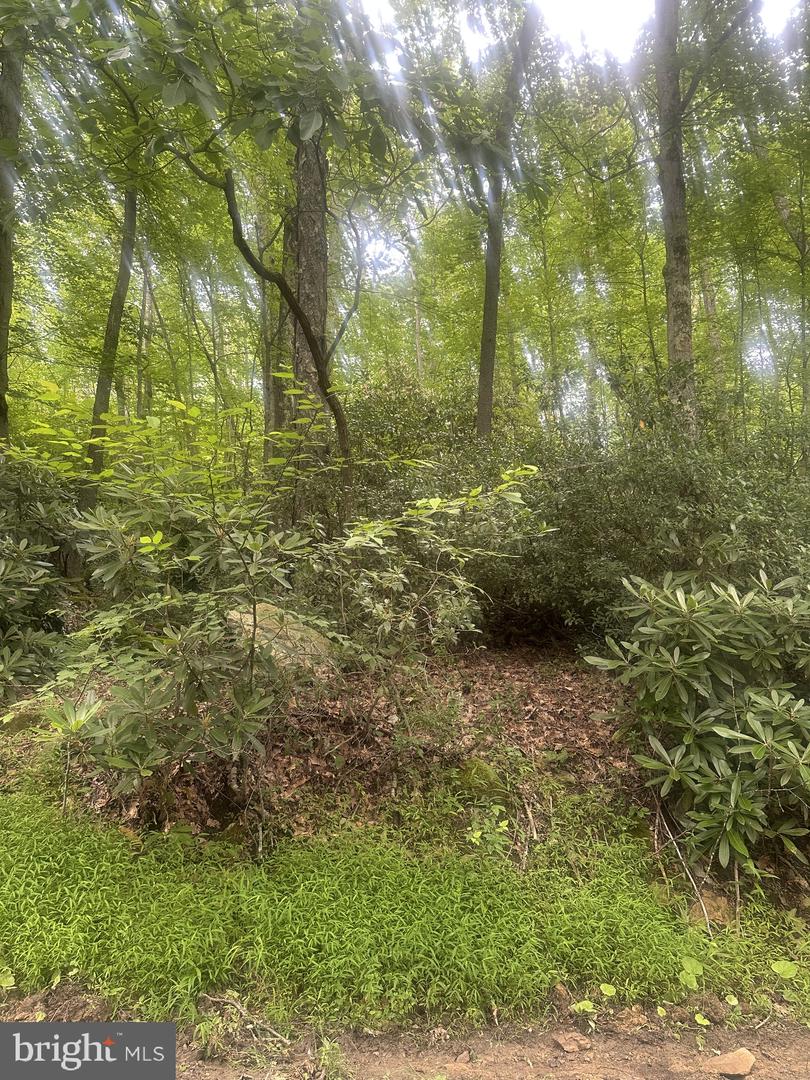 Bear Dr E Property Photo 5
