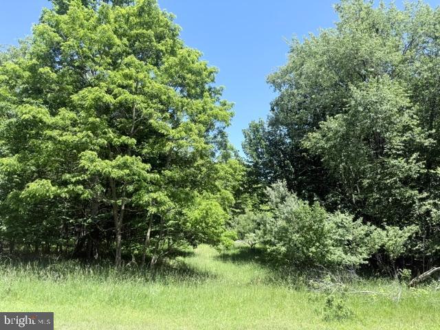 Lot 81 Sundance Way Property Photo 2