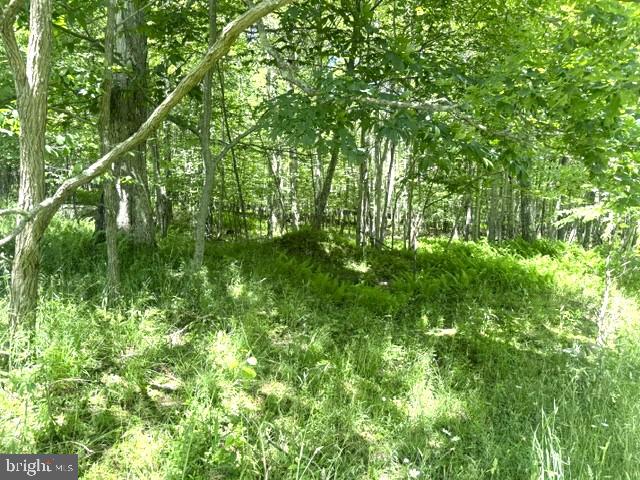 Lot 81 Sundance Way Property Photo 8