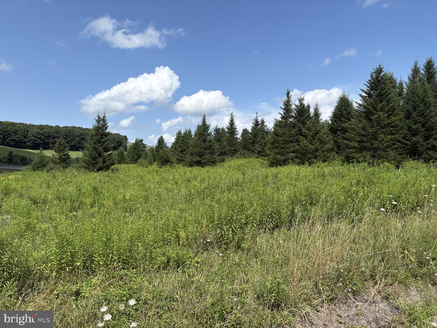 0 Blocher Rd Property Photo 1