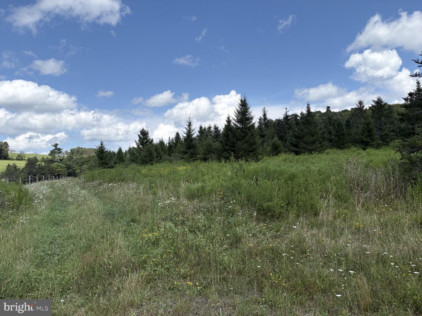 0 Blocher Rd Property Photo 7