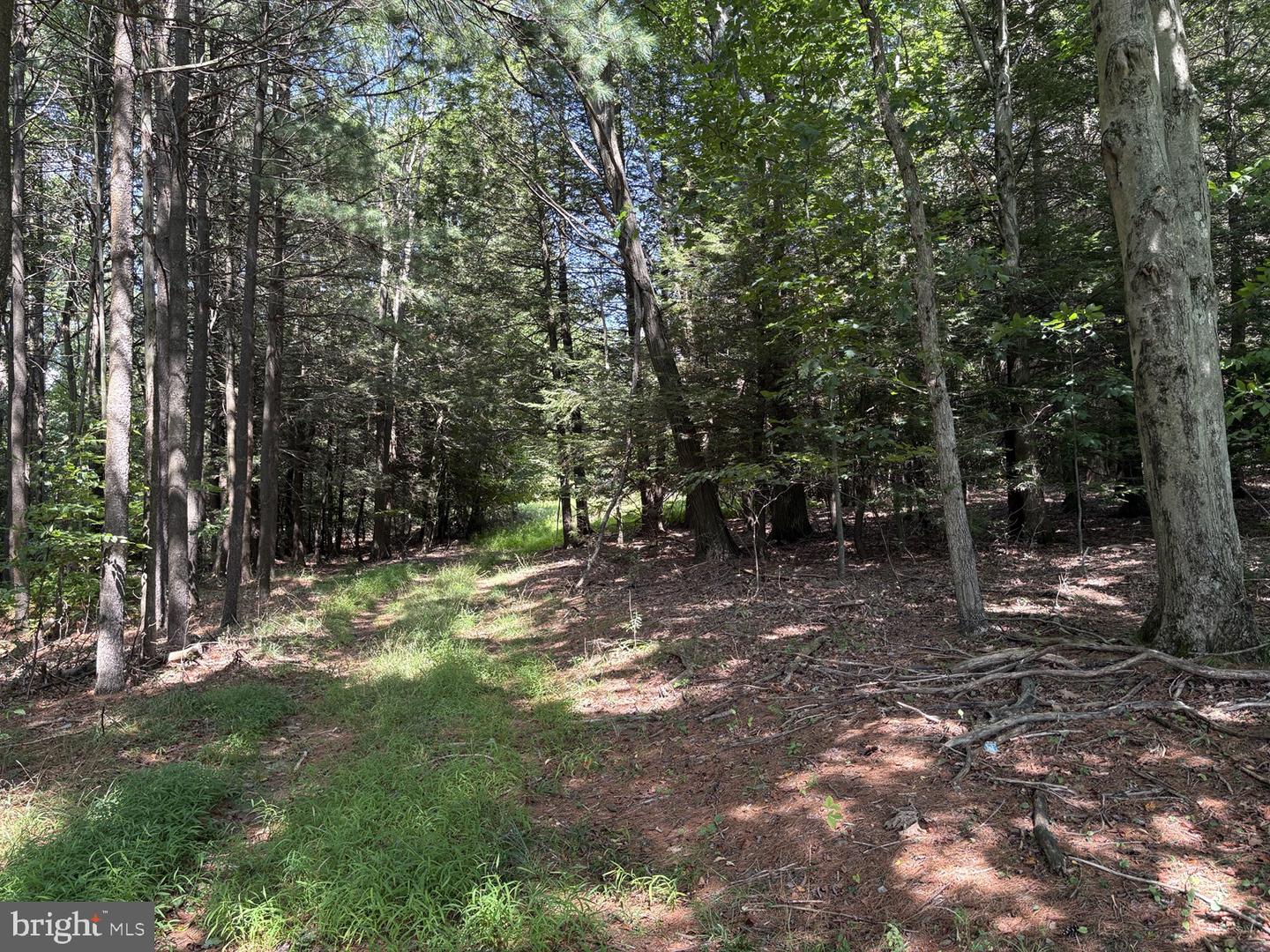 0 Blocher Rd Property Photo 8