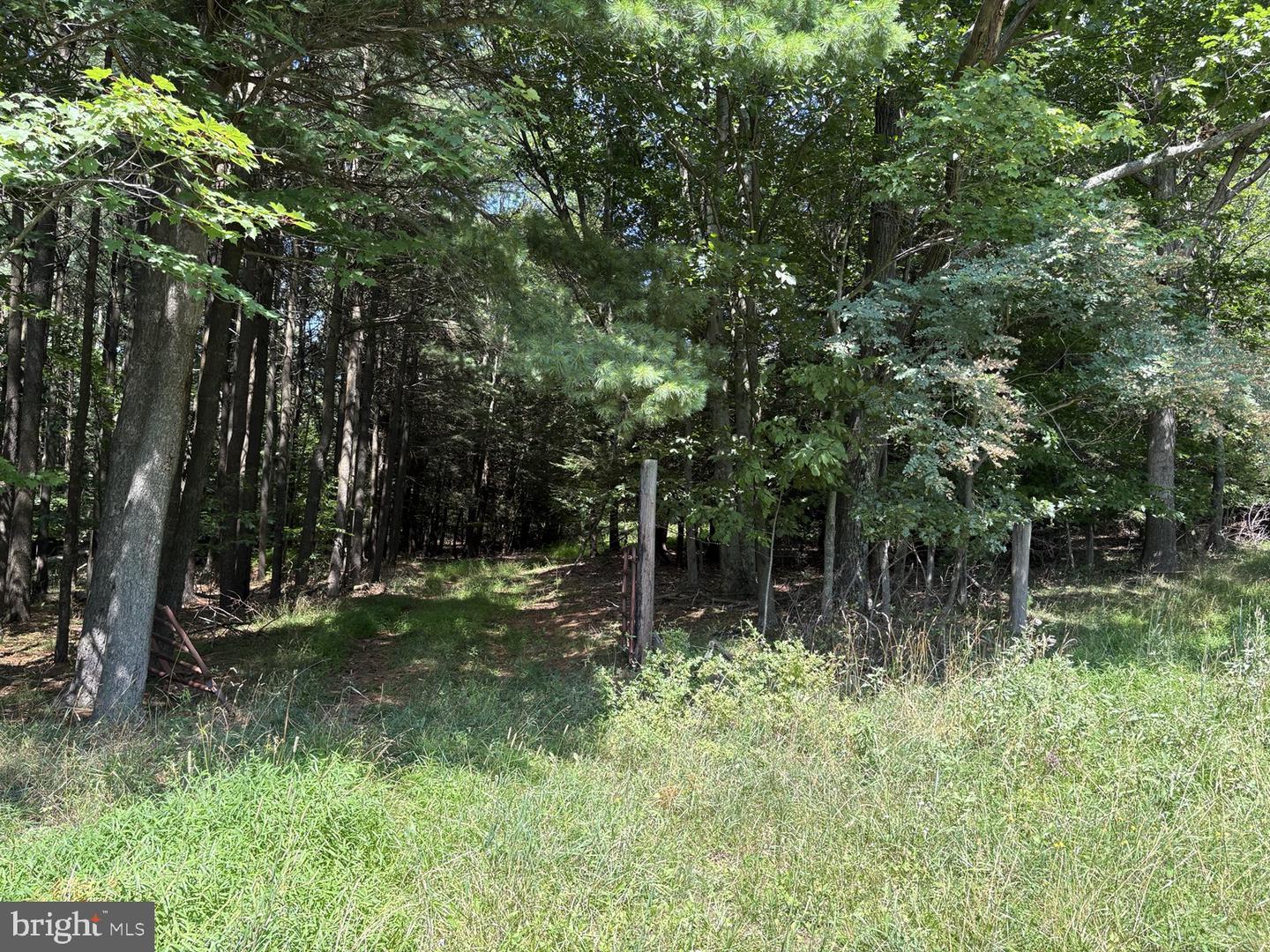 0 Blocher Rd Property Photo 11