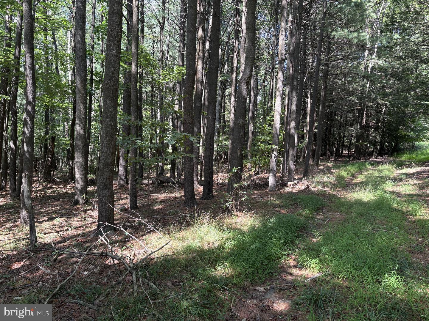 0 Blocher Rd Property Photo 13