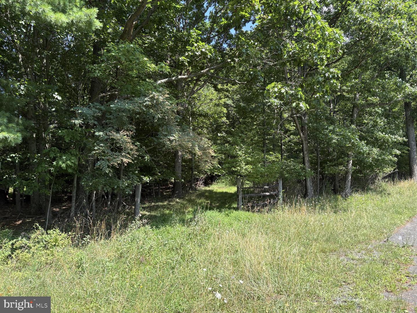 0 Blocher Rd Property Photo 15