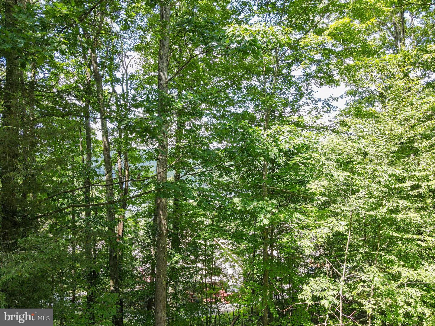 18 Mountainside Ct Property Photo 77