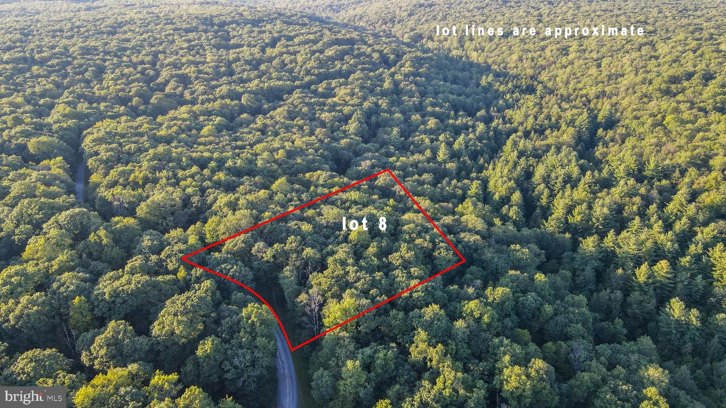 LOT 8 STOOL ROCK RD Property Photo 1
