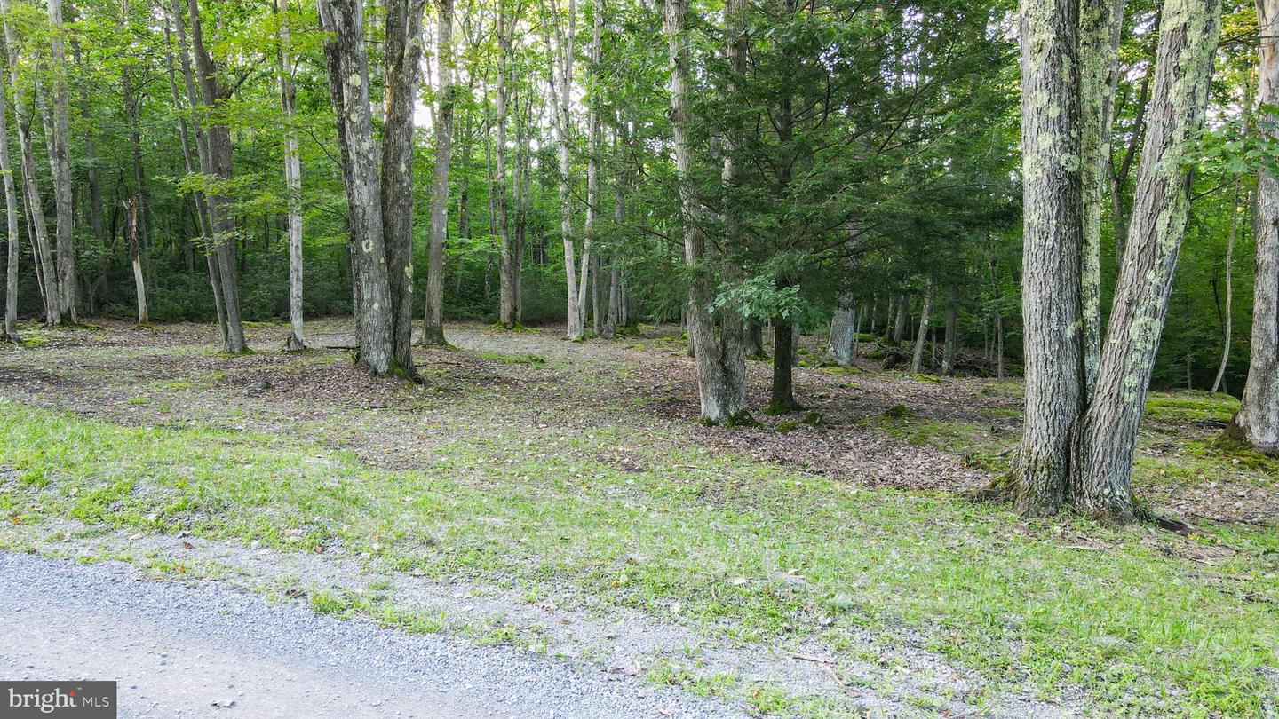 Lot 8 Stool Rock Rd Property Photo 3