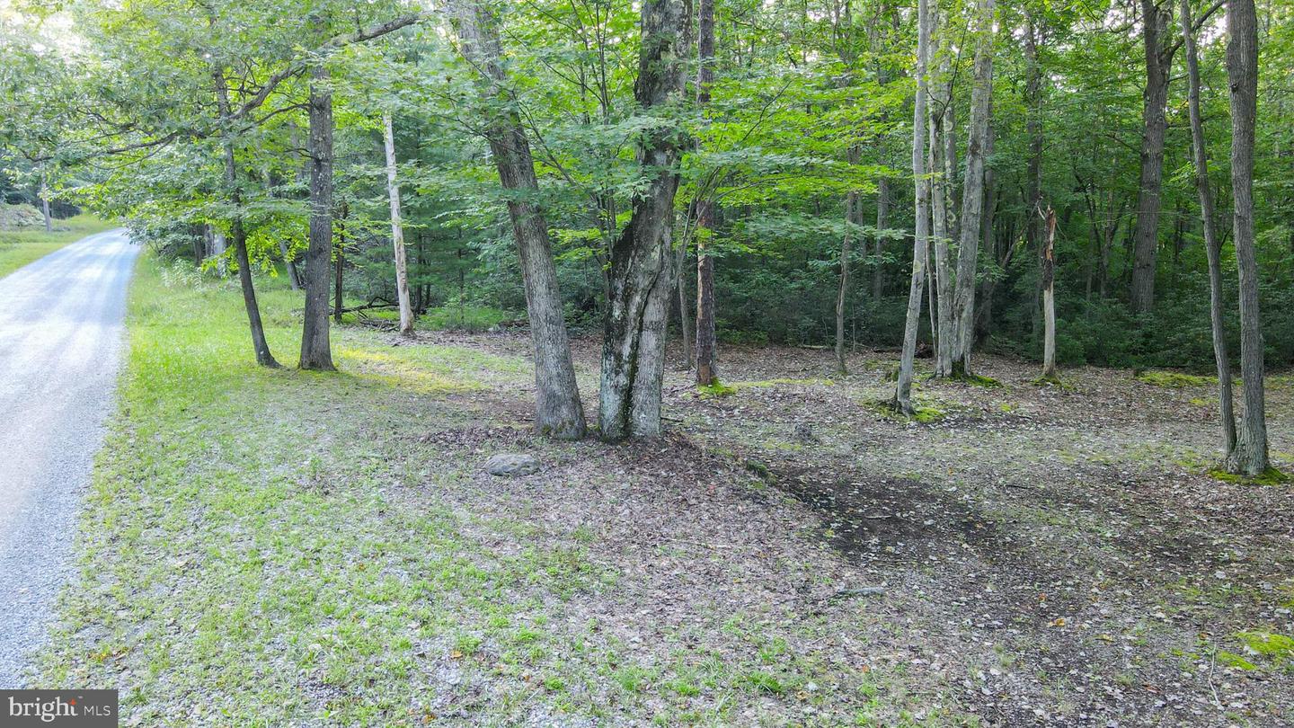 Lot 8 Stool Rock Rd Property Photo 4
