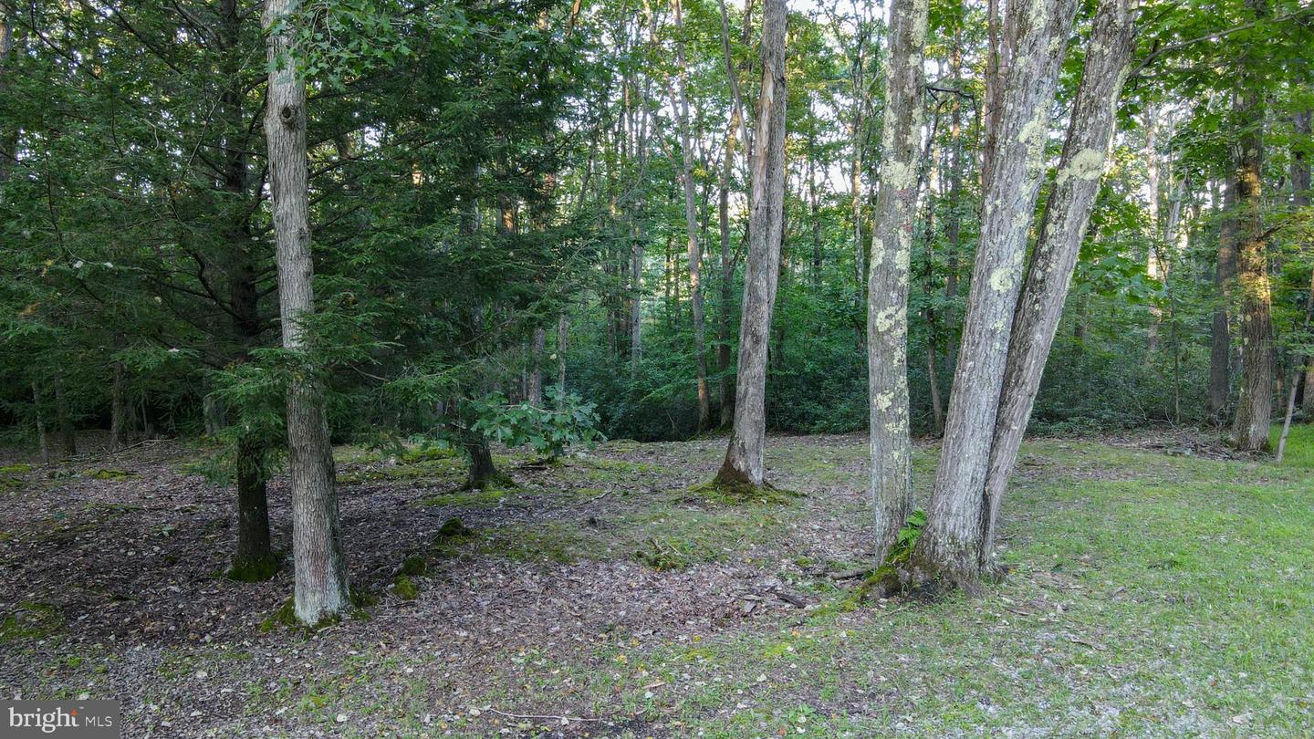 Lot 8 Stool Rock Rd Property Photo 5