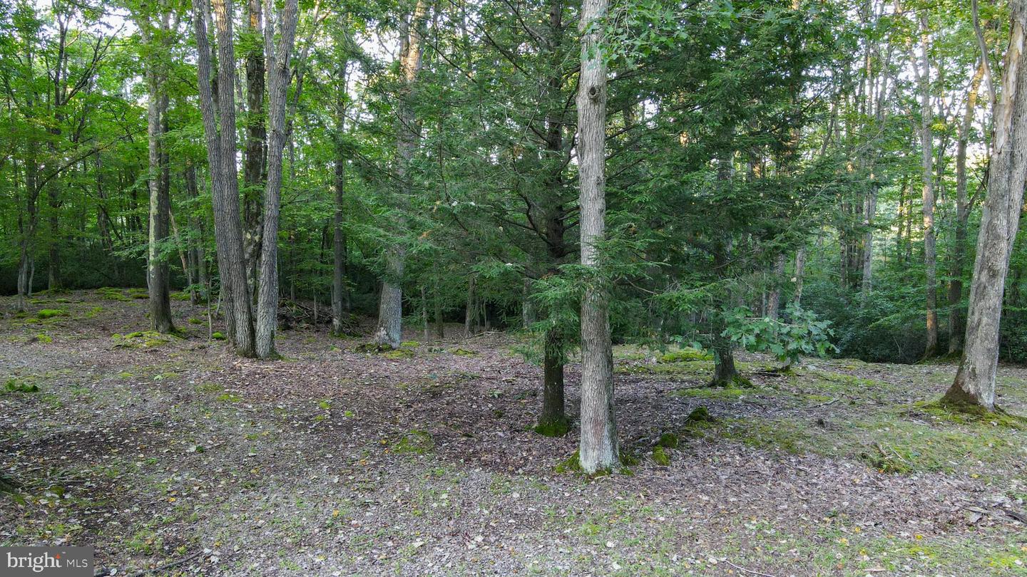 Lot 8 Stool Rock Rd Property Photo 6