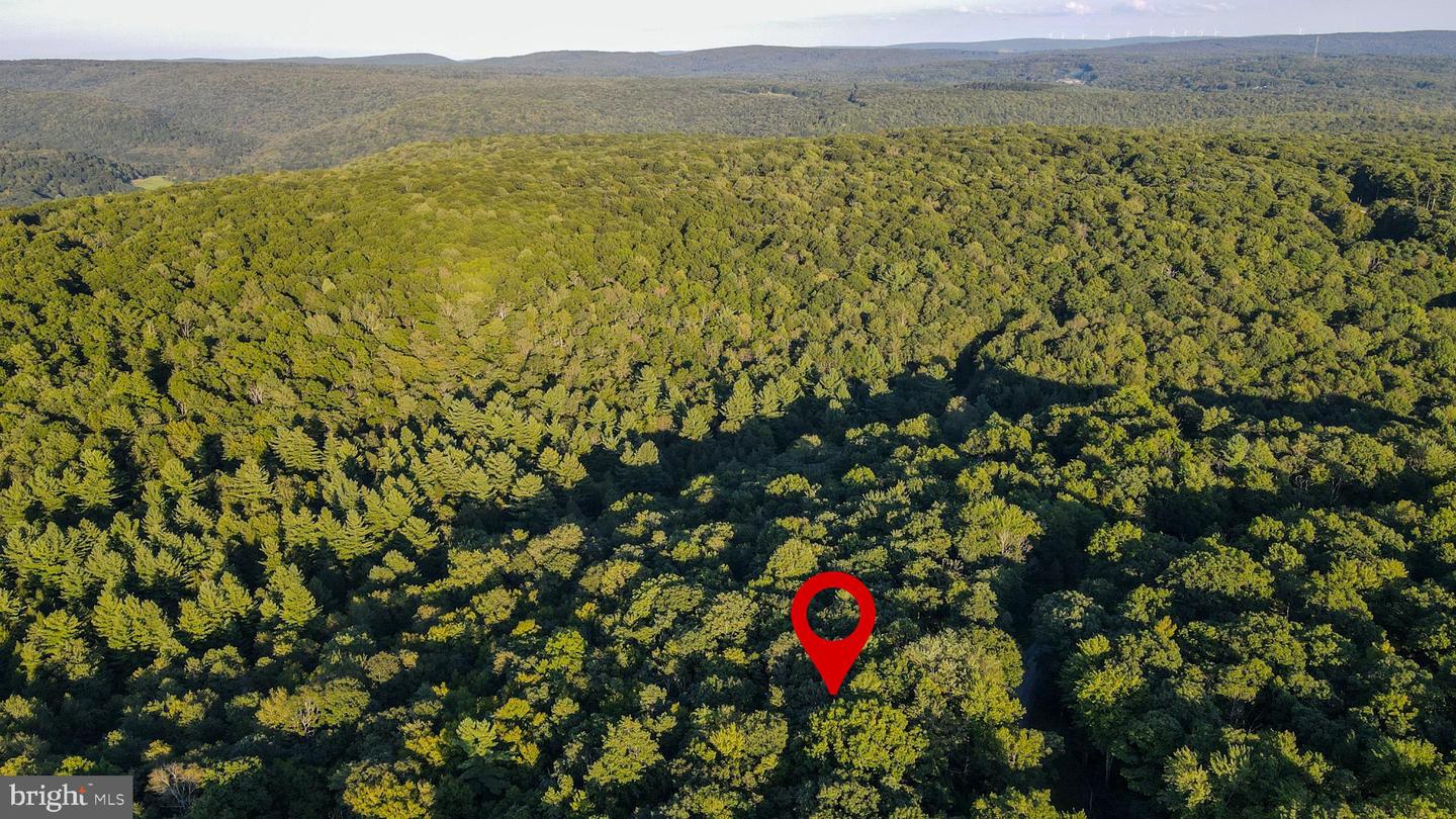 Lot 8 Stool Rock Rd Property Photo 9