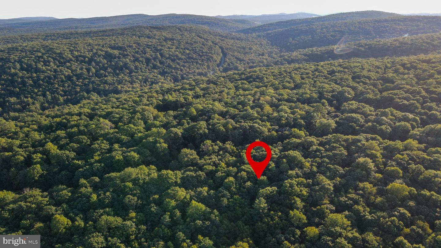 Lot 8 Stool Rock Rd Property Photo 10
