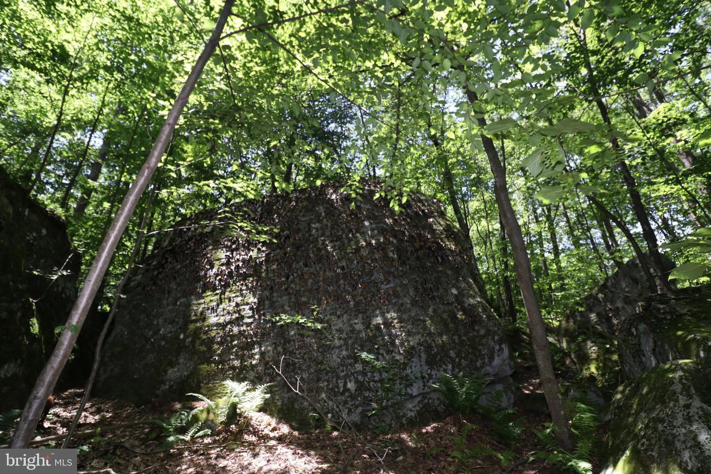 97 Mountaintop Rd Property Photo 36