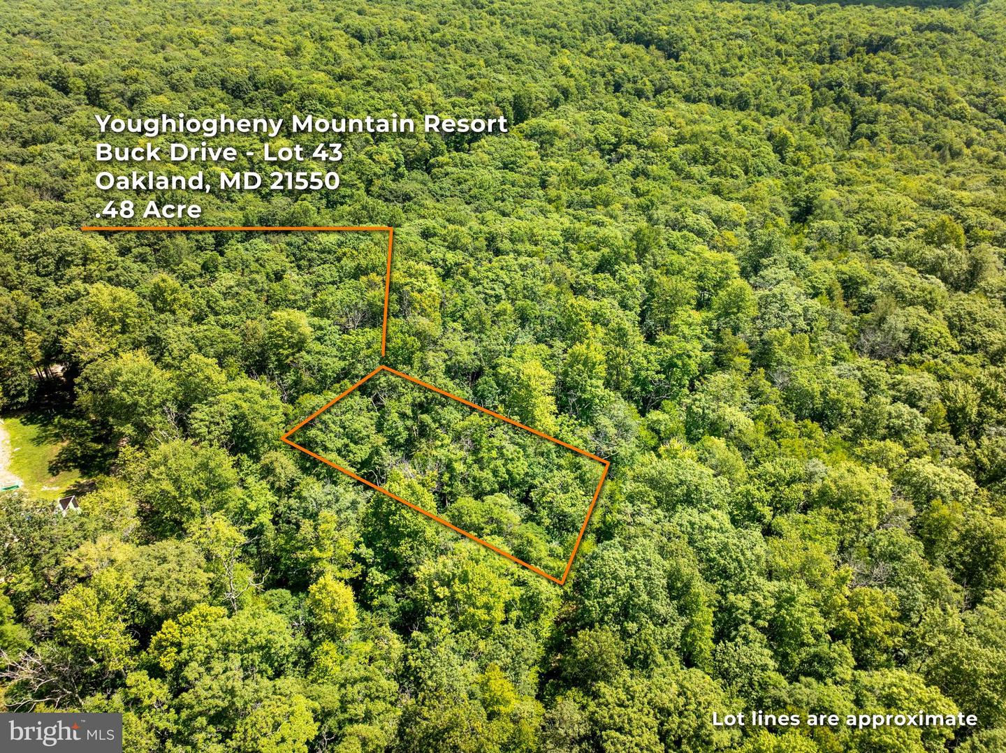 GREY SQUIRREL RD Property Photo 1