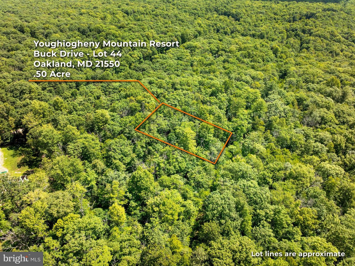 Grey Squirrel Rd Property Photo 2