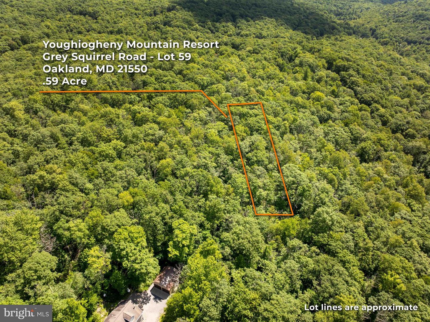 Grey Squirrel Rd Property Photo 4
