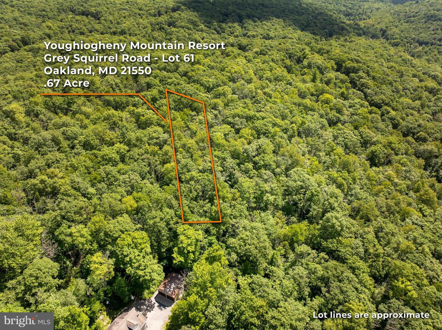 Grey Squirrel Rd Property Photo 6
