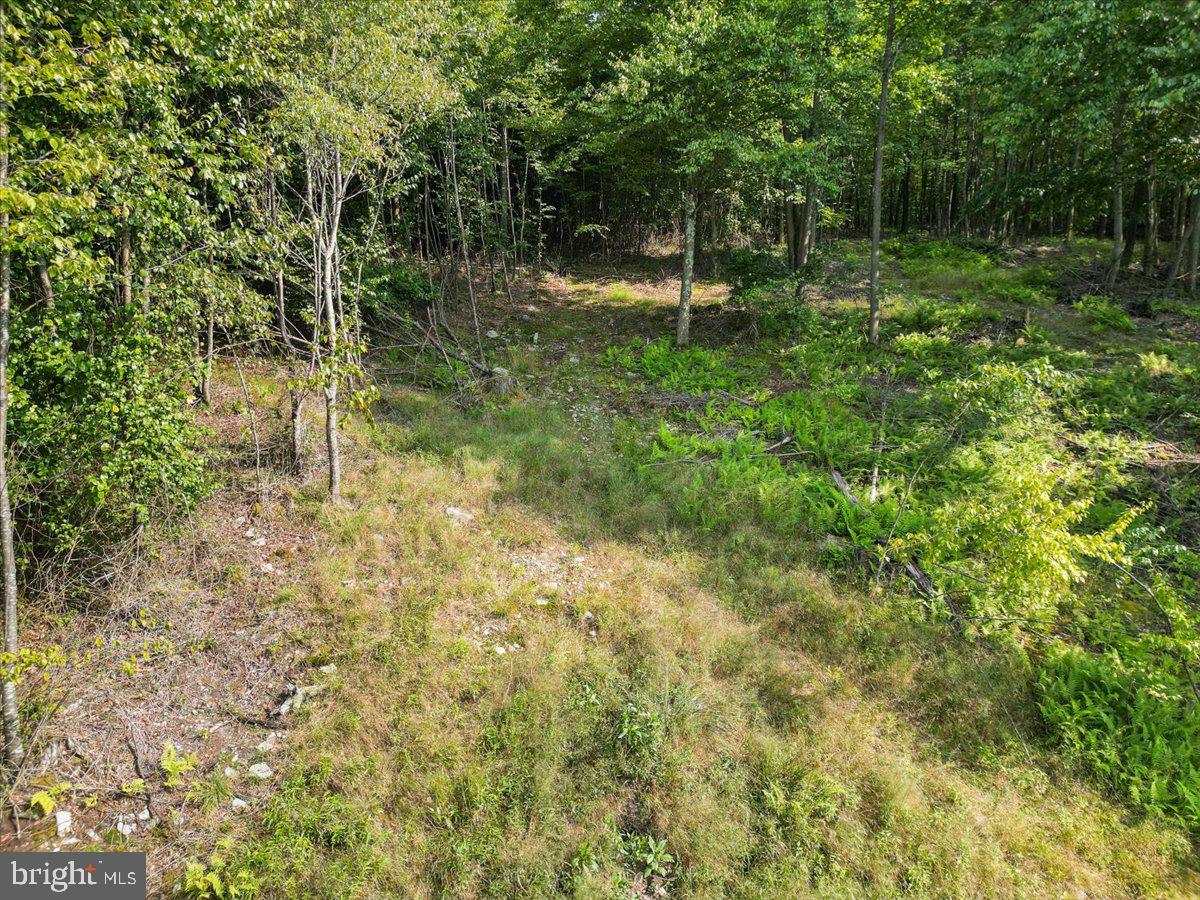 14 Woodlands Hill Lane Property Photo 10