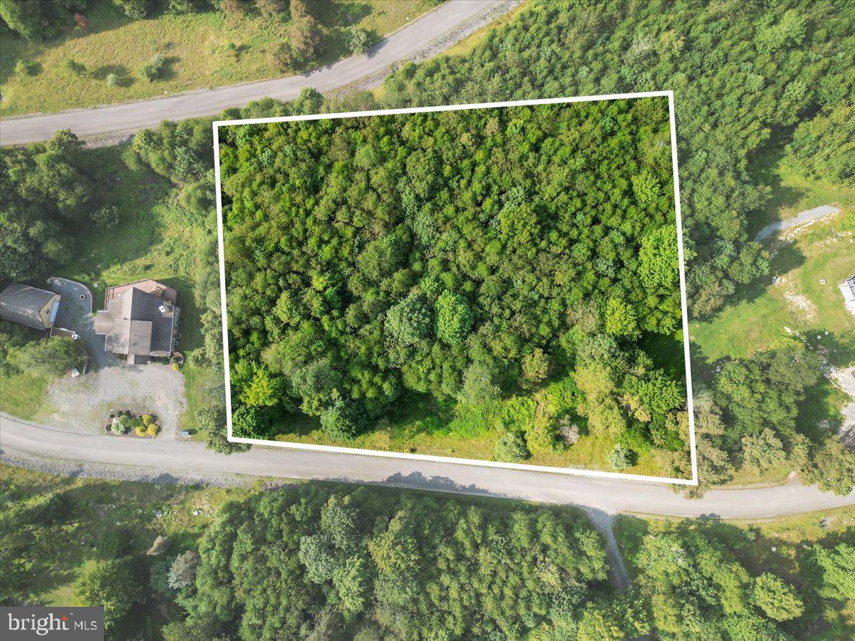 24 Woodlands Hill Lane Property Photo 4