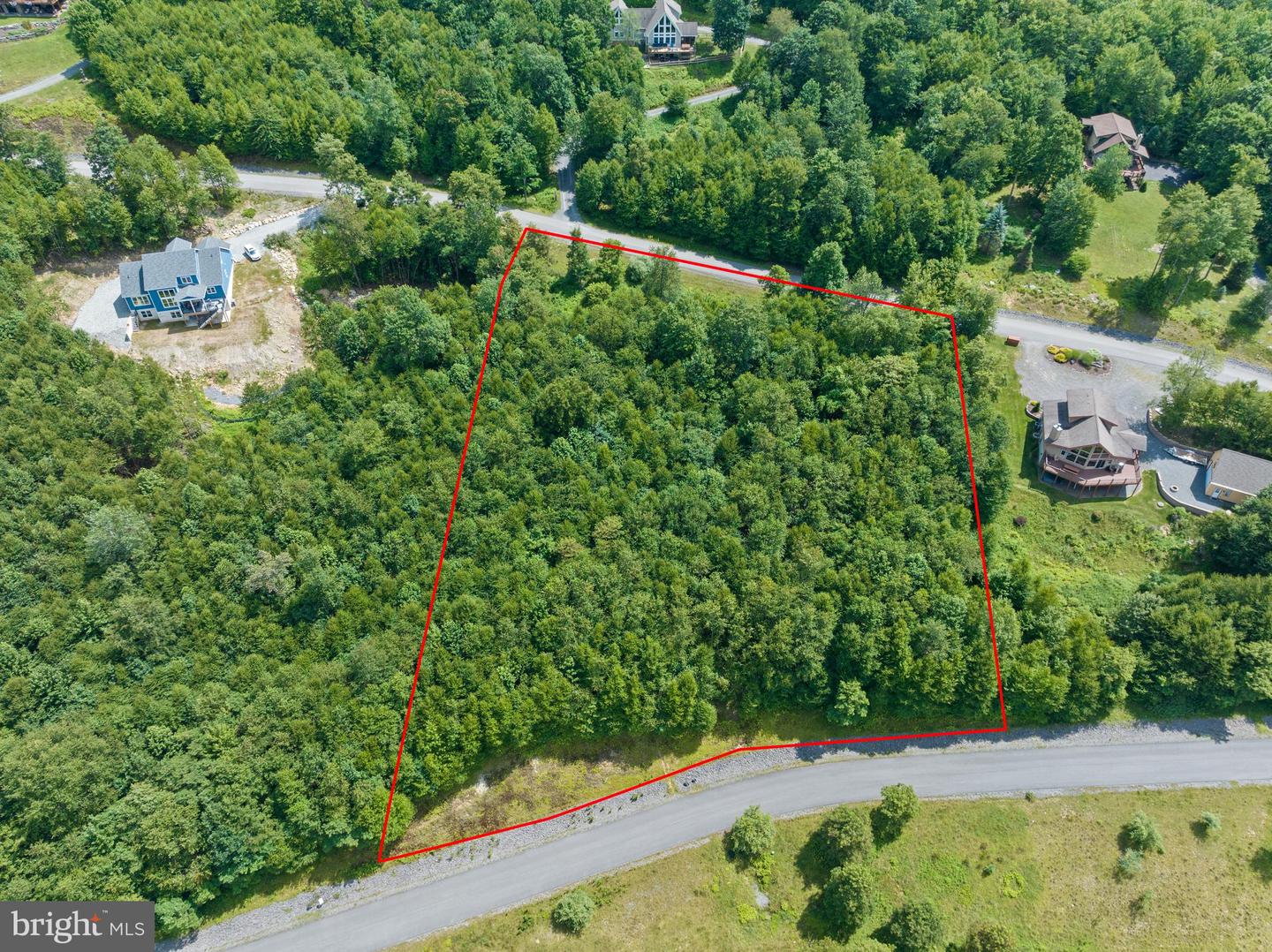 24 Woodlands Hill Lane Property Photo 6