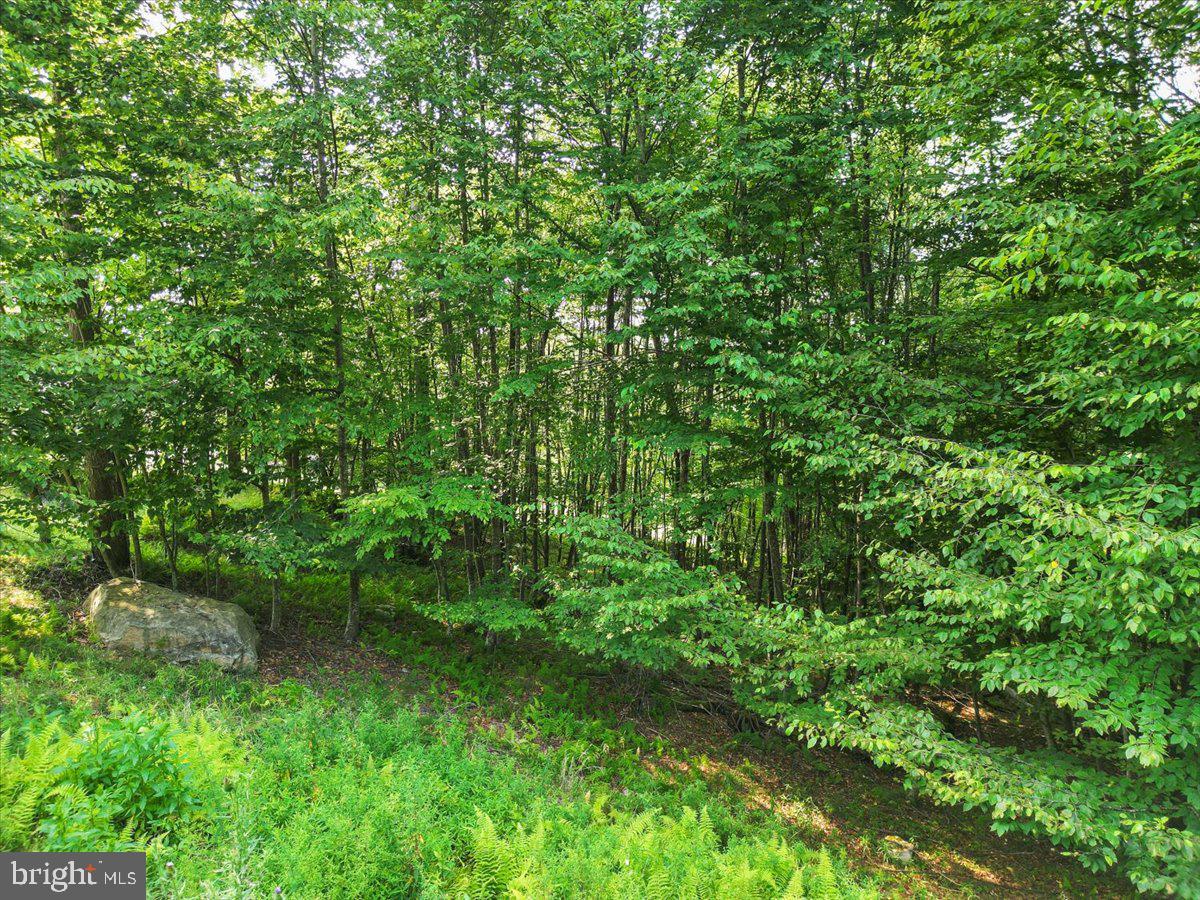 24 Woodlands Hill Lane Property Photo 7