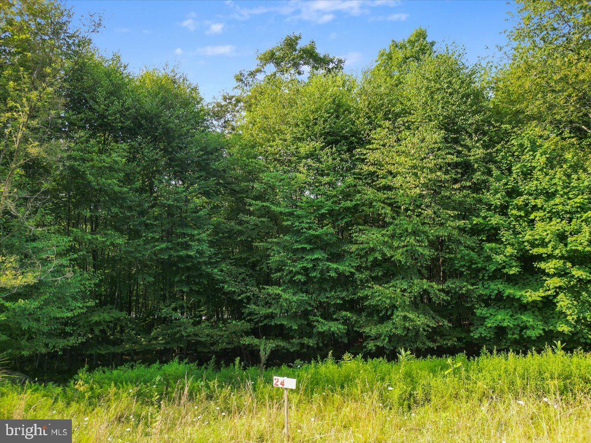 24 Woodlands Hill Lane Property Photo 9