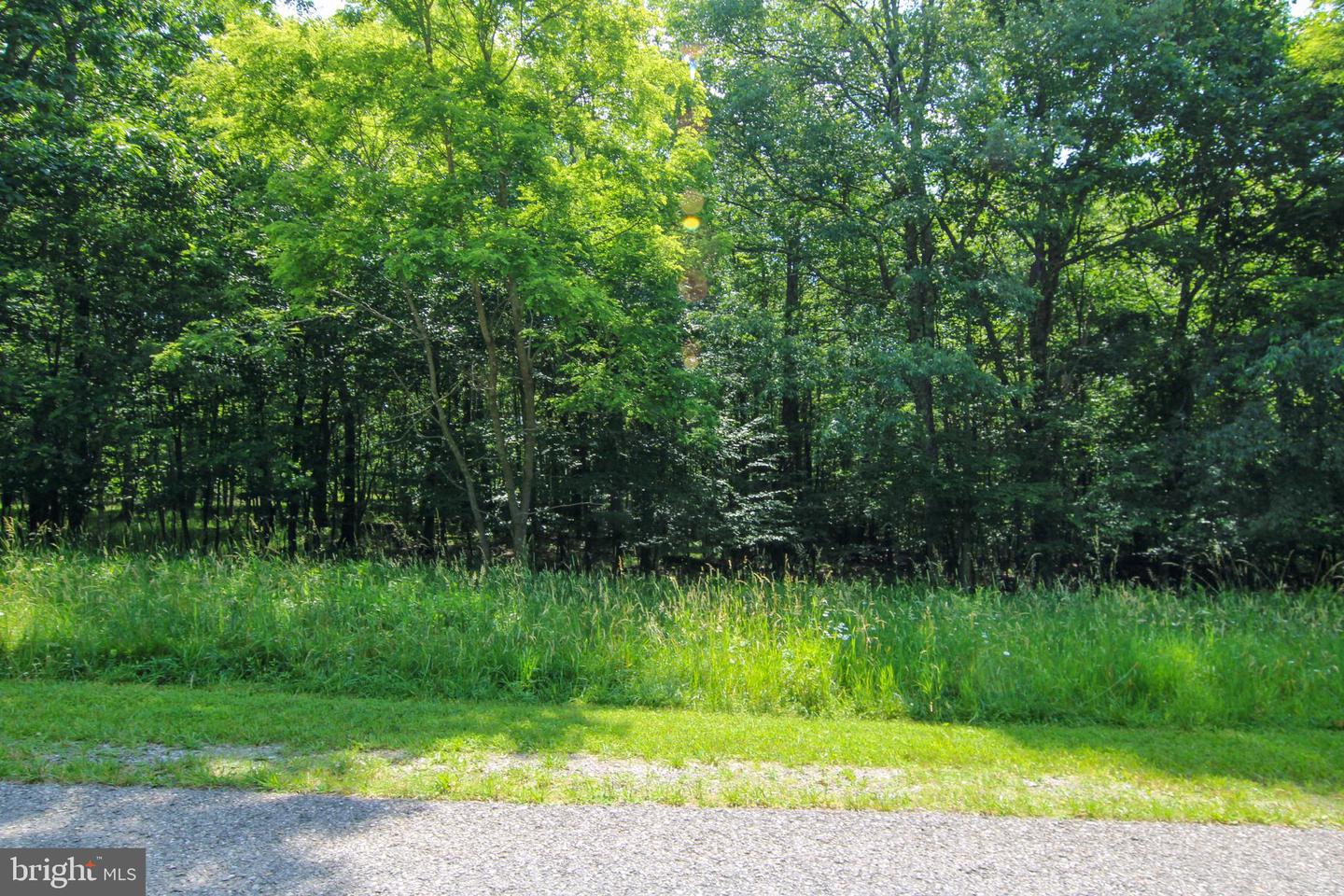 80 Sundance Way Property Photo 7