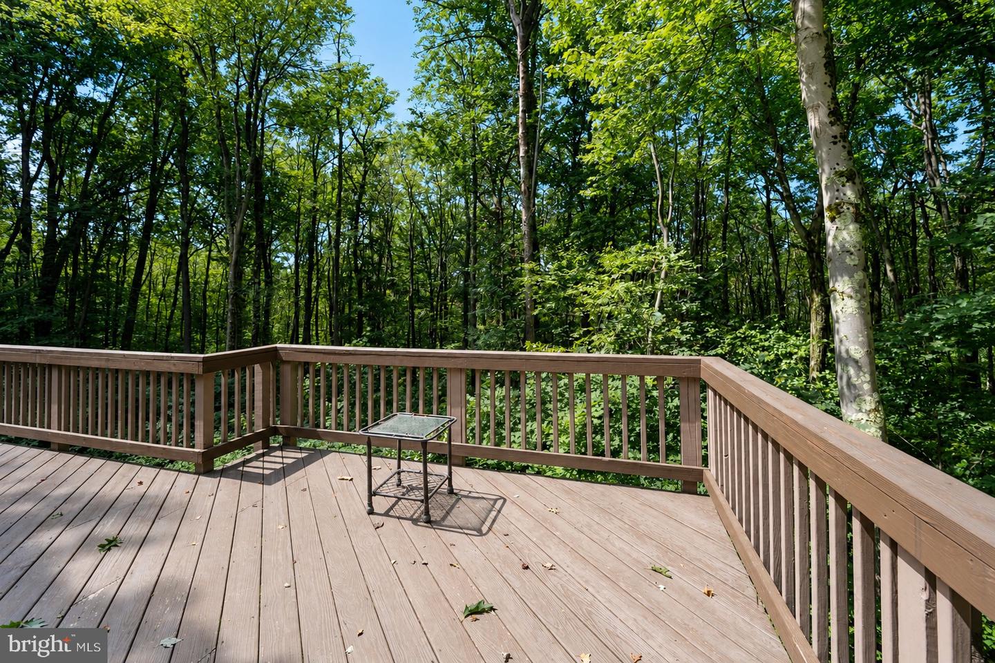 230 Springhouse Way Property Photo 33