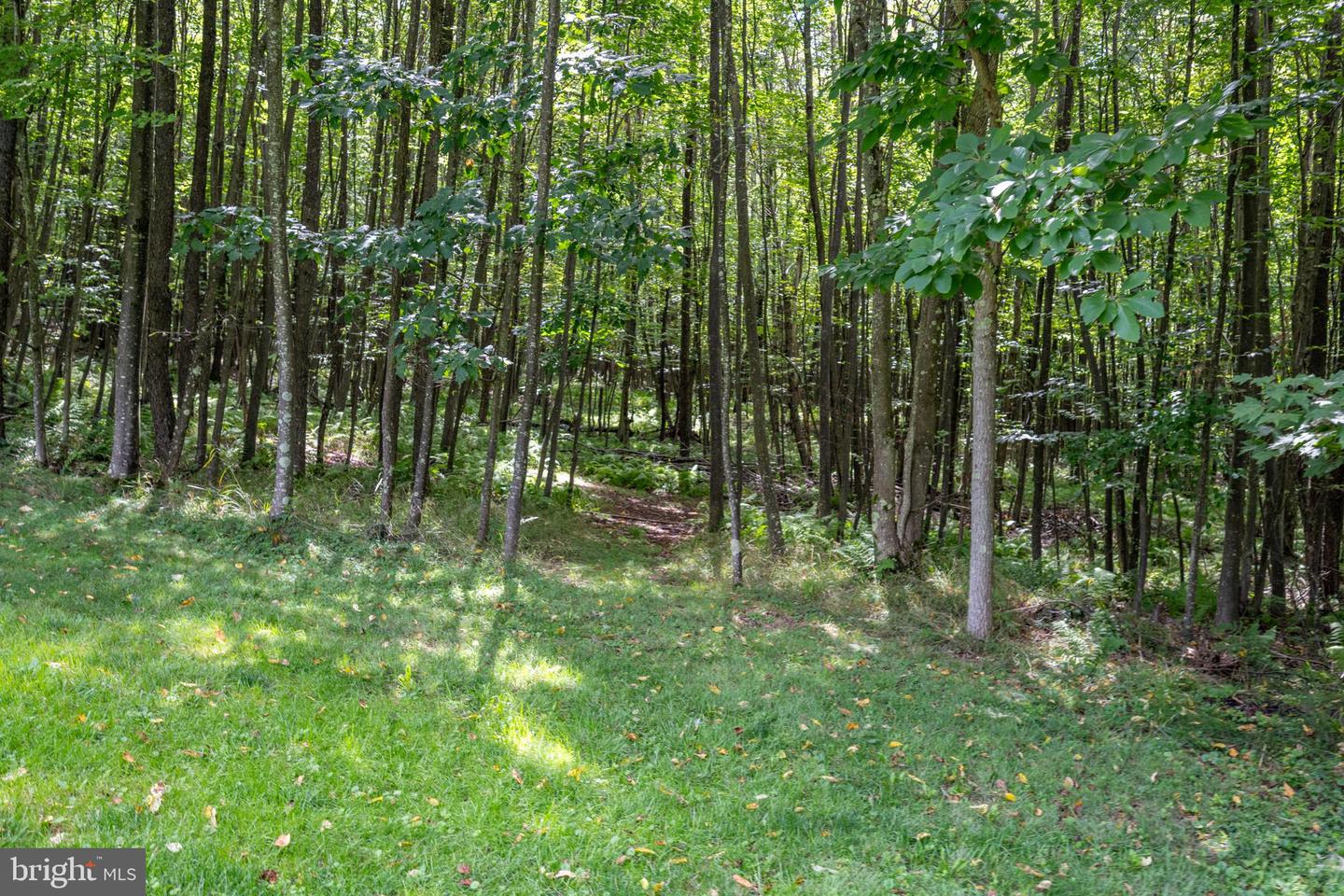 137 Youngwood Ln Property Photo 74