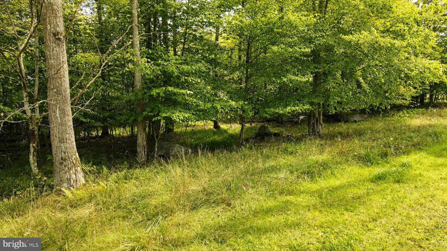 Lot 100 Deep Creek Highlands Rd Property Photo 6