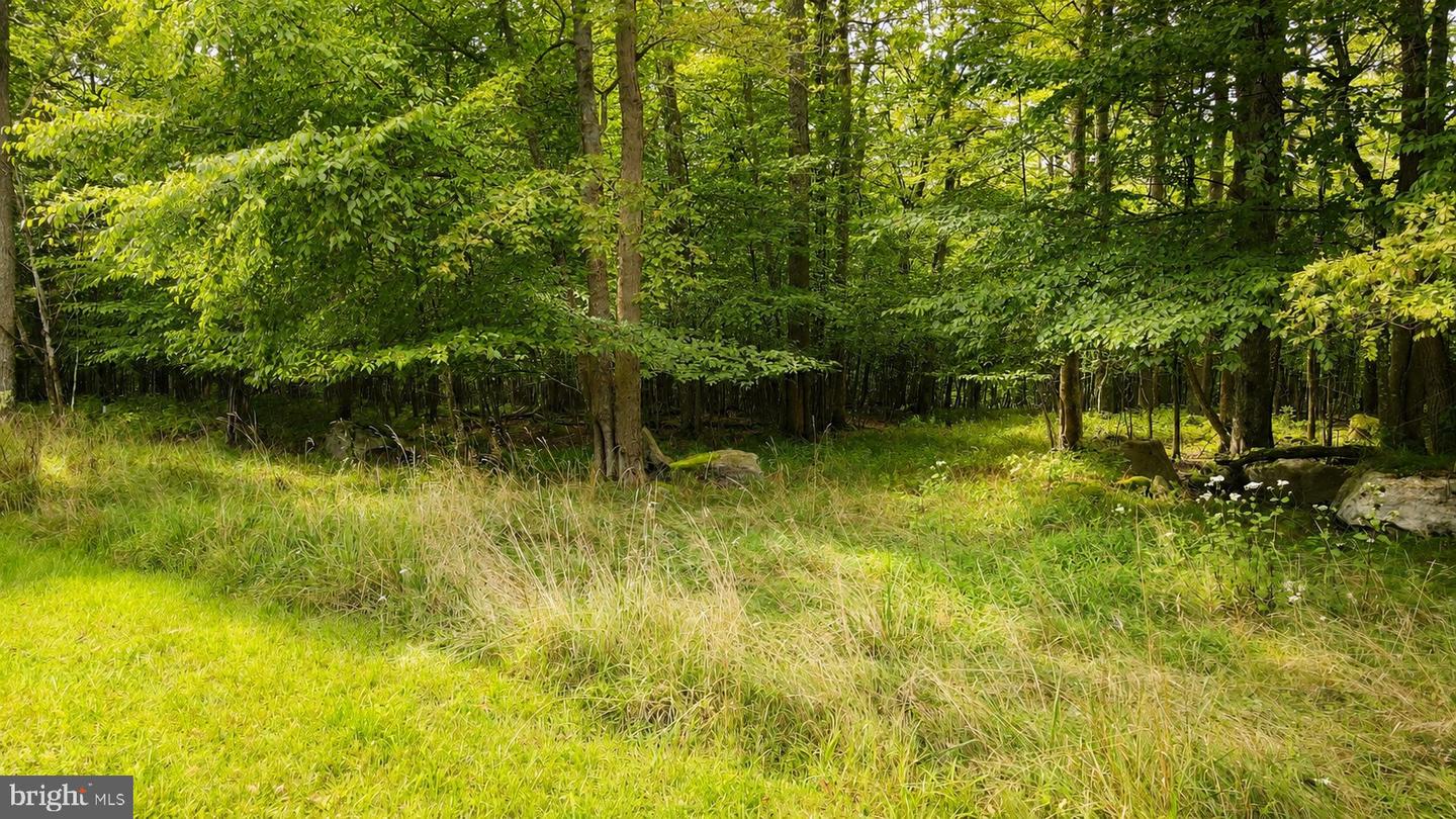 Lot 100 Deep Creek Highlands Rd Property Photo 7