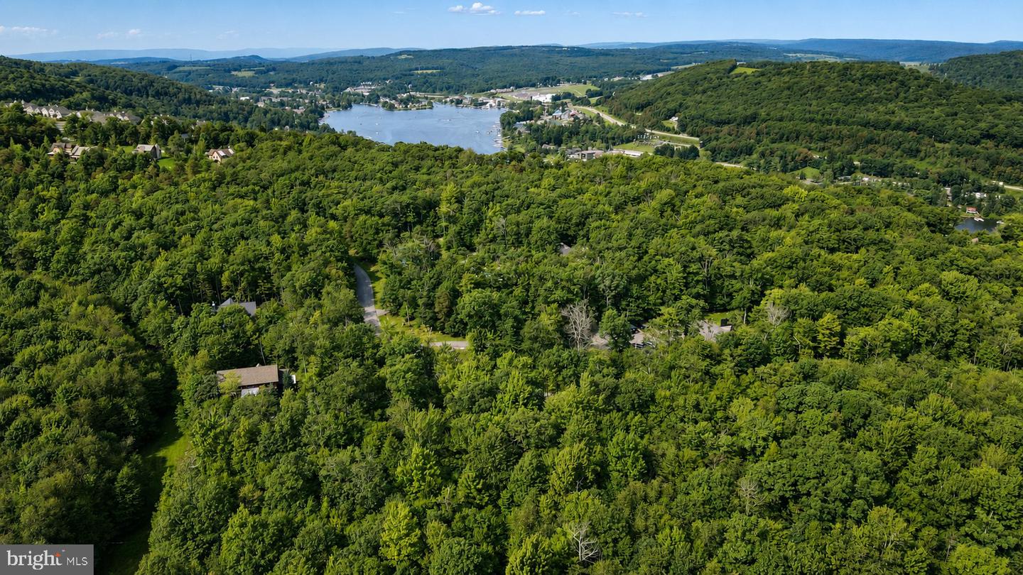 Lot 100 Deep Creek Highlands Rd Property Photo 11