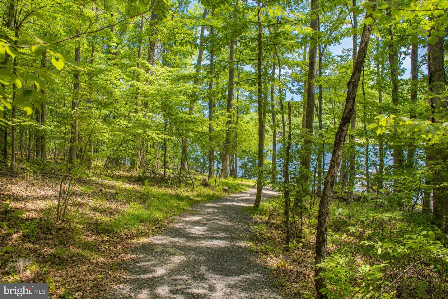 Lot 100 Deep Creek Highlands Rd Property Photo 26