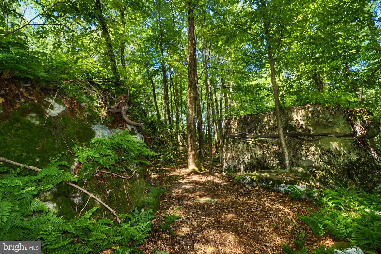 Lot 100 Deep Creek Highlands Rd Property Photo 38