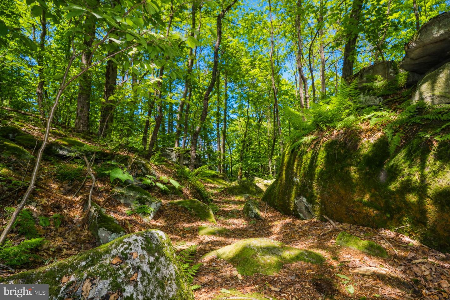 Lot 100 Deep Creek Highlands Rd Property Photo 39